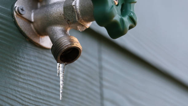 Best Same-Day Plumbing Service  in Woodbury, TN